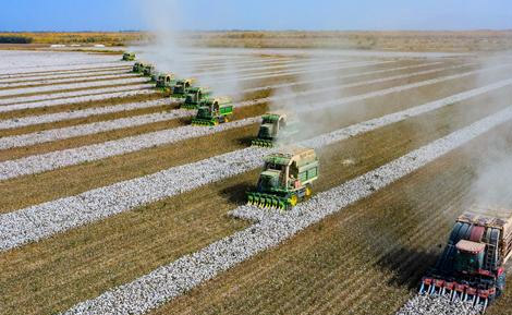 新疆生產建設兵團